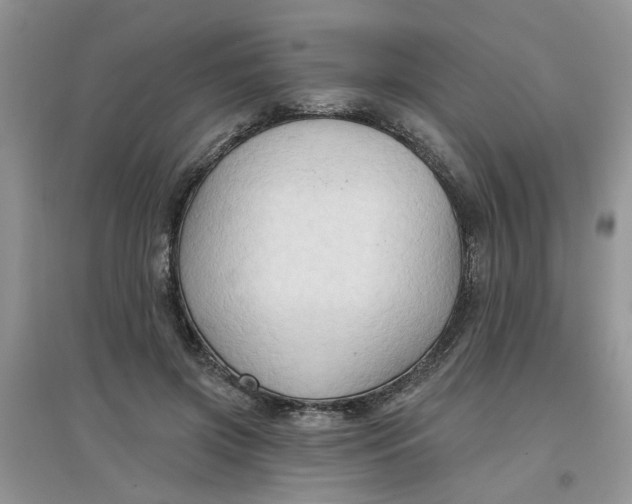 X0000097650549200803142112