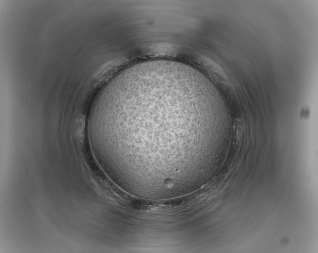 X0000097650550200803142112