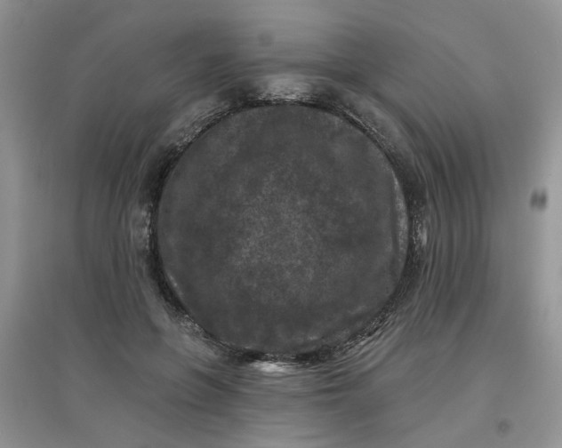 X0000097650551200803142112