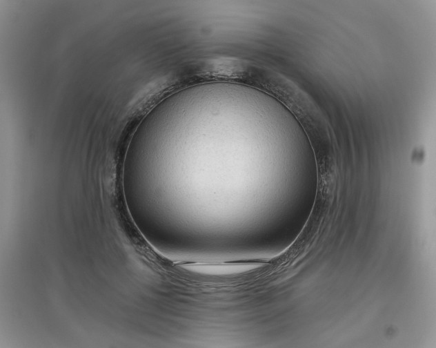 X0000097650552200803142112