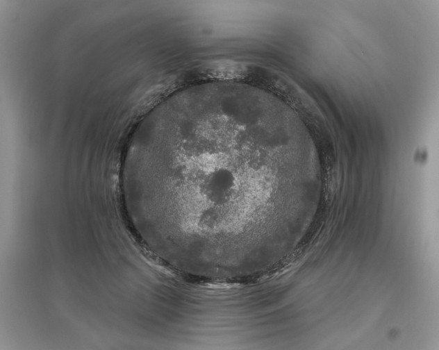 X0000097650553200803142112