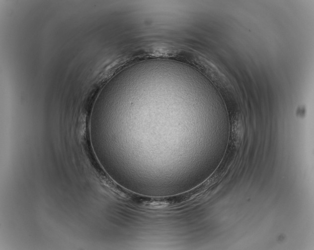 X0000097650554200803142112