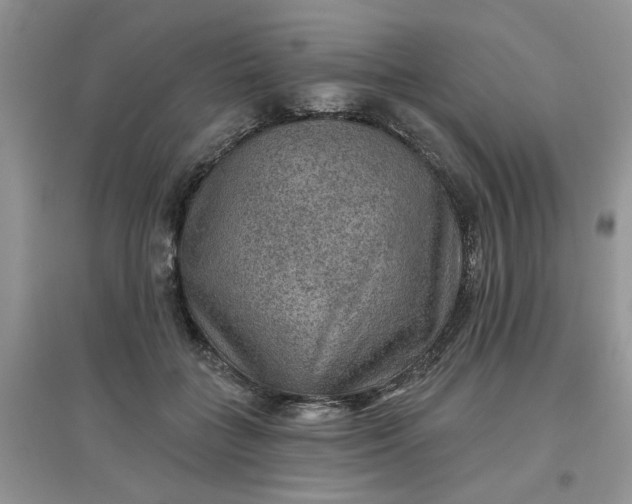 X0000097650555200803142112