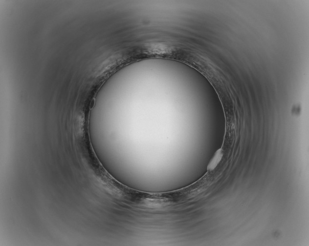 X0000097650556200803142112