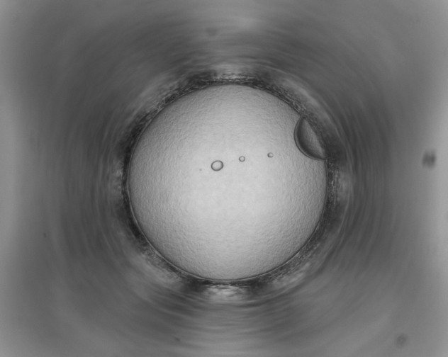 X0000097650557200803142112