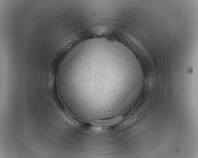 X0000097650558200803142112