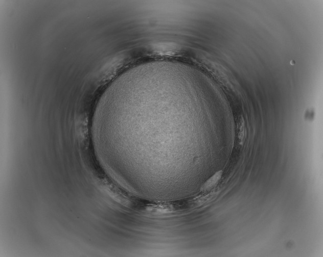 X0000097650559200803142112