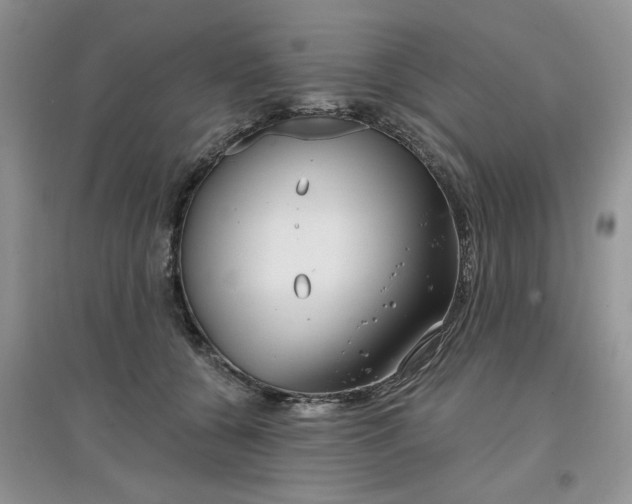 X0000097650560200803142112