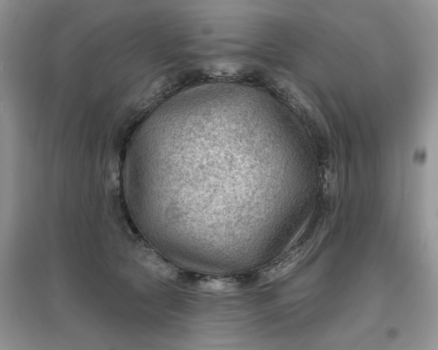 X0000097650561200803142112