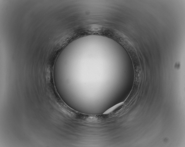 X0000097650562200803142112