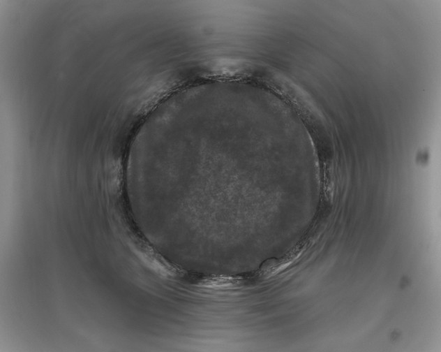 X0000097650563200803142112