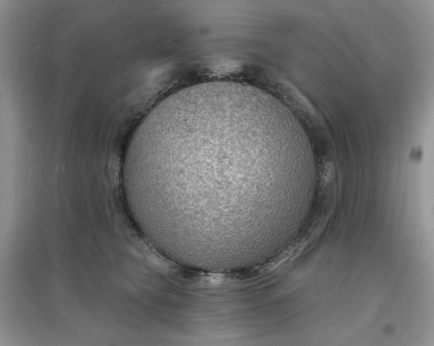 X0000097650565200803142112