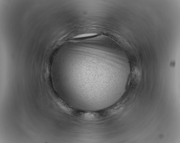 X0000097650566200803142112