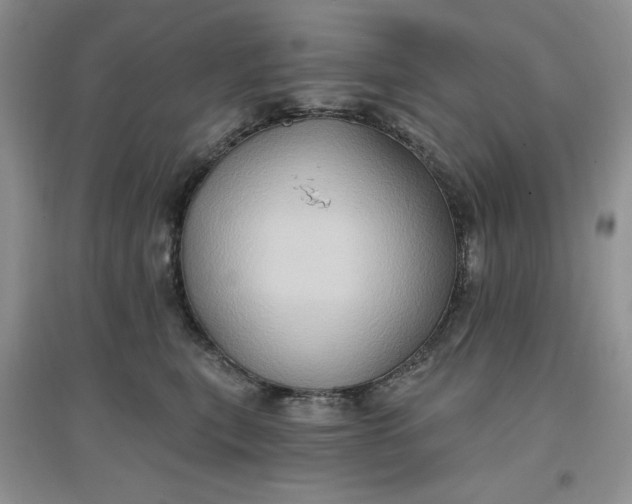 X0000097650567200803142112