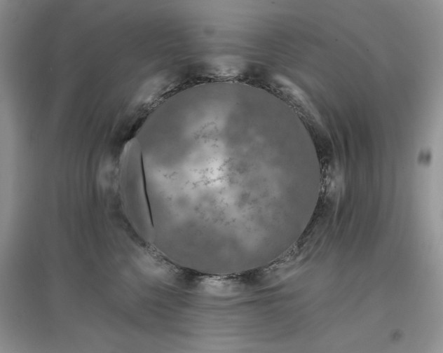 X0000097650568200803142112