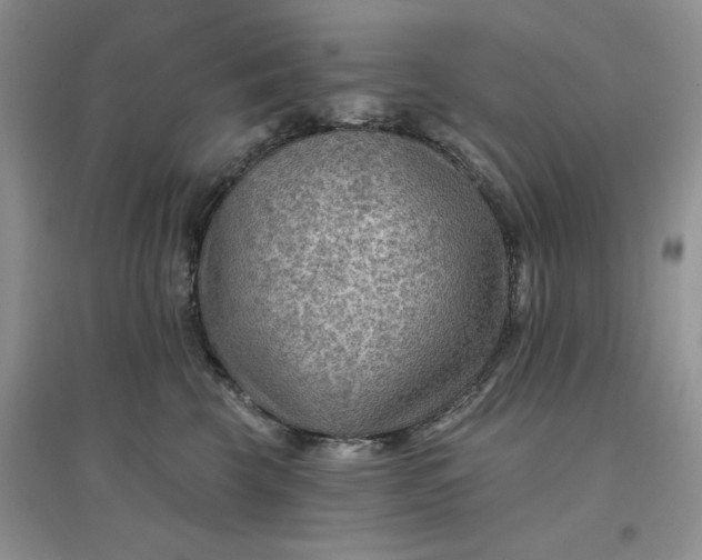 X0000097650569200803142112