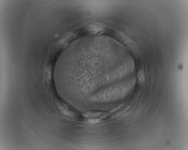 X0000097650570200803142112