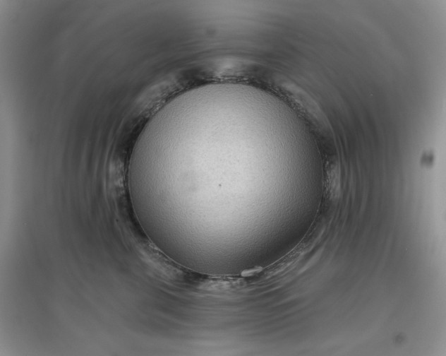 X0000097650571200803142112