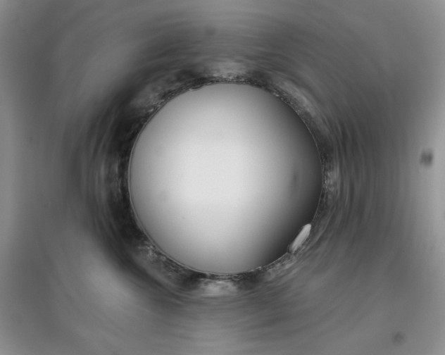 X0000097650572200803142112