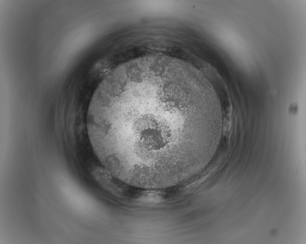 X0000097650573200803142112