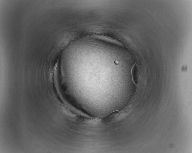 X0000097650576200803142112