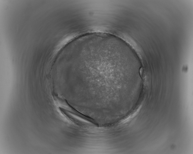 X0000097650577200803142112