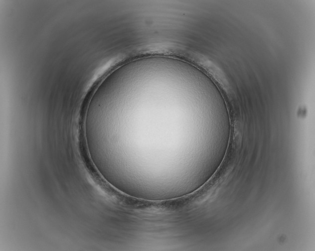 X0000097650578200803142112