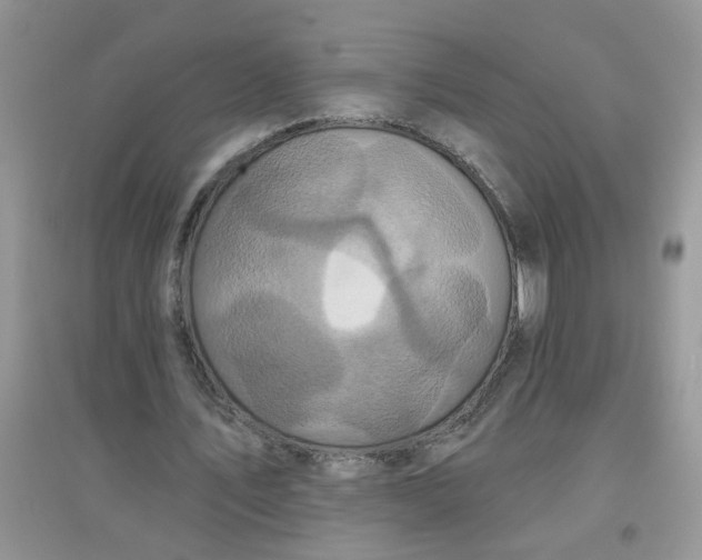 X0000097650579200803142112