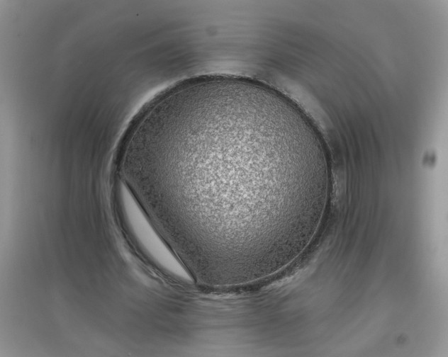 X0000097650580200803142112