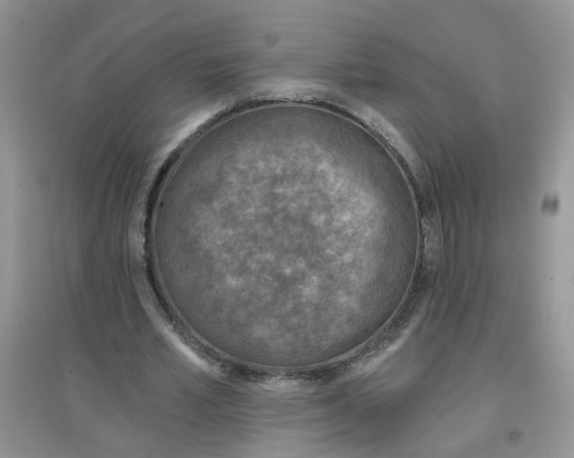 X0000097650581200803142112