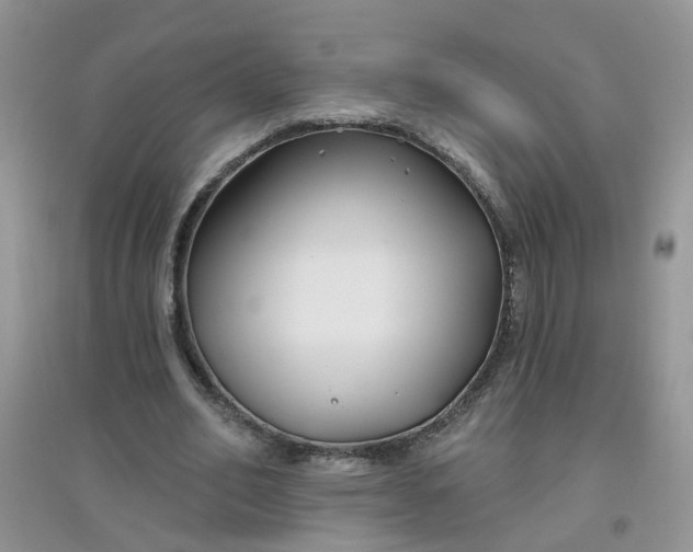 X0000097650582200803142112