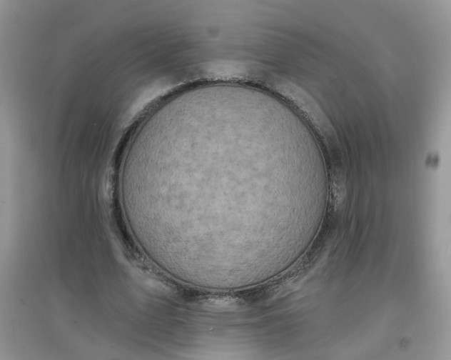 X0000097650583200803142112