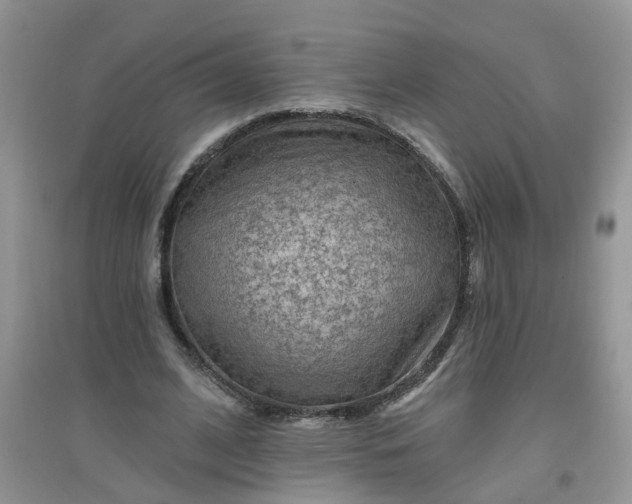 X0000097650584200803142112