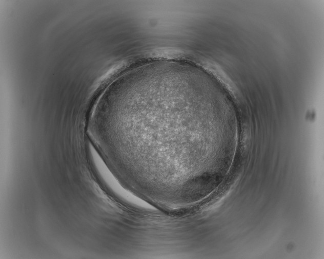 X0000097650585200803142112