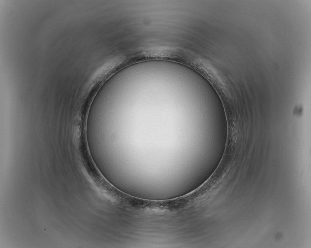 X0000097650586200803142112