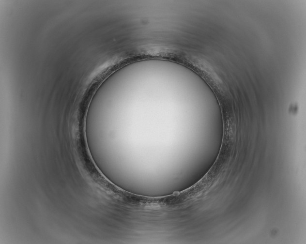 X0000097650587200803142112