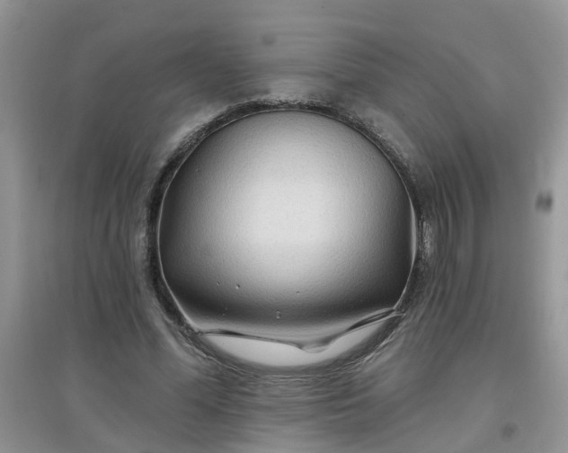 X0000097650588200803142112