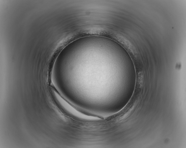 X0000097650589200803142112