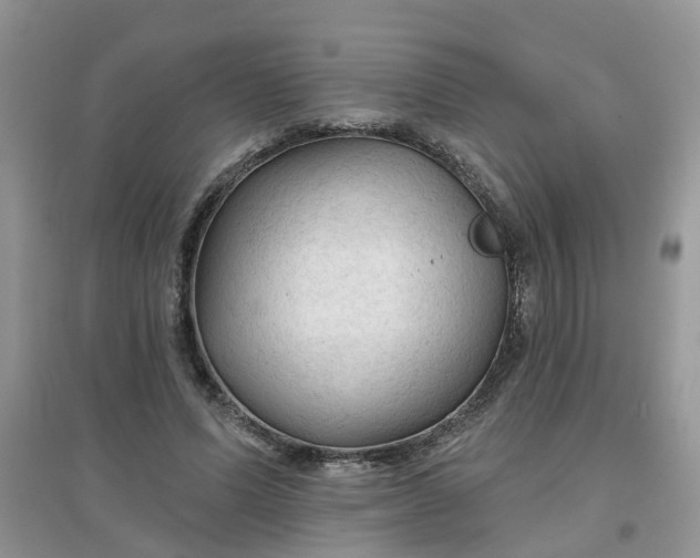 X0000097650591200803142112