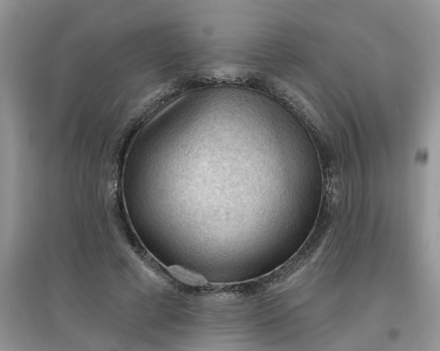 X0000097650593200803142111