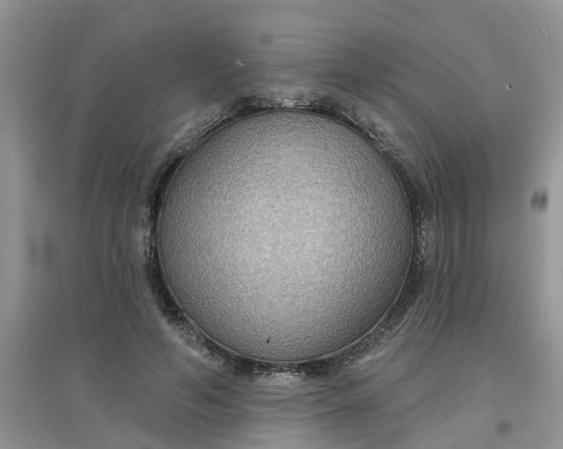 X0000097650594200803142111