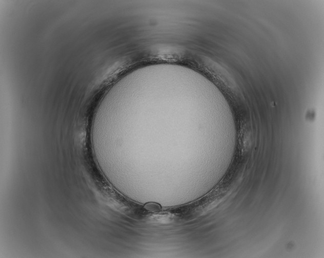 X0000097650595200803142111