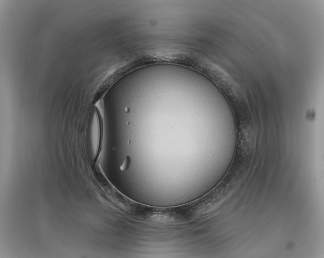 X0000097650596200803142111