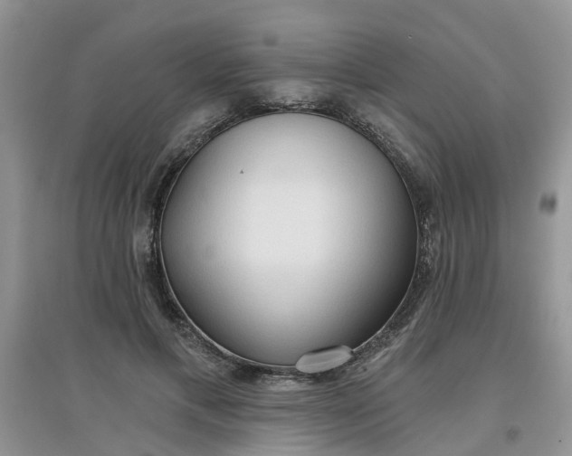 X0000097650597200803142111