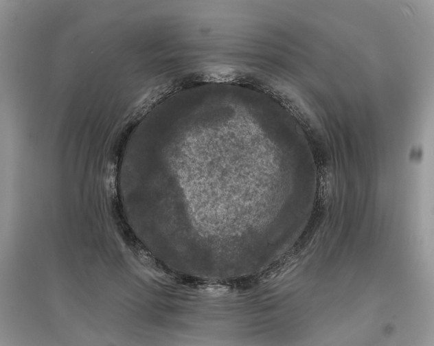 X0000097650598200803142111