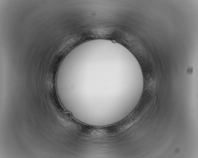 X0000097650599200803142111