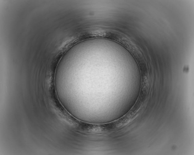 X0000097650600200803142111