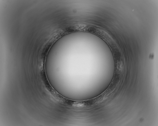 X0000097650602200803142111