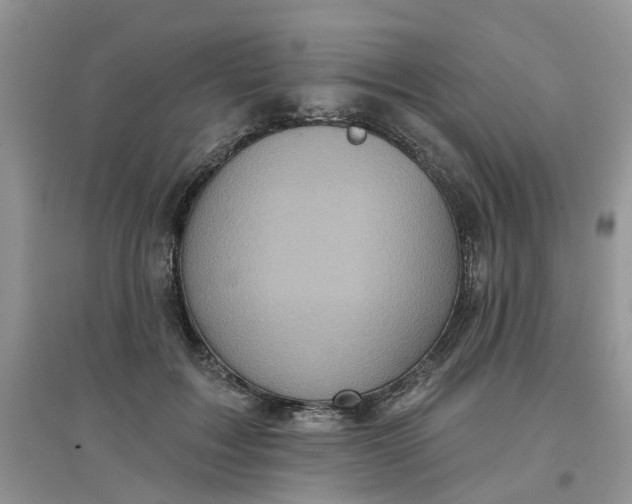 X0000097650603200803142111