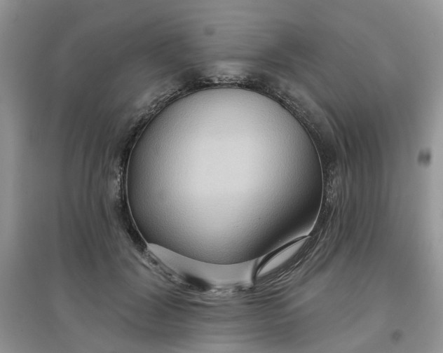 X0000097650604200803142111